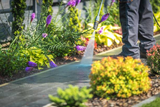 Best Boat and Dock Cleaning  in Converse, IN