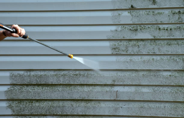 Best Driveway Pressure Washing  in Converse, IN